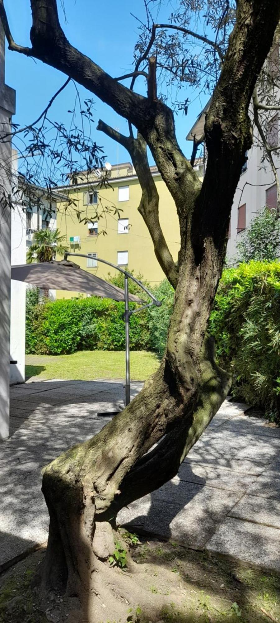 Villa Andrea Mestre Exteriör bild